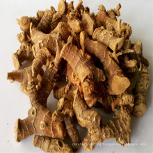 Dried galangal for export